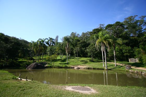 Foto que ilustra matéria sobre parque em Mauá mostra um pequeno lago cercado de área gramada e árvores no Parque da Gruta.