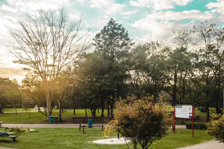  Imagem da paisagem do Parque Villa-Lobos, em São Paulo, mostra vegetação, gramado e árvores desse parque urbano para ilustrar matéria sobre melhores parques em SP