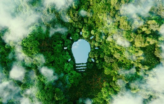 Um lago em forma de lâmpada no meio de uma floresta exuberante, simbolizando novas ideias, inventividade e criatividade em relação à solução de problemas ambientais.