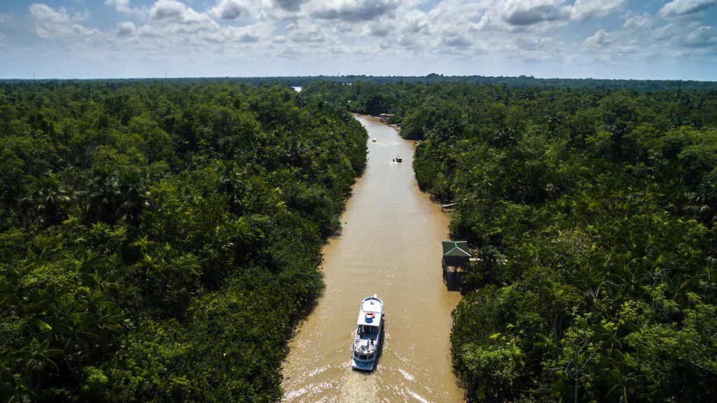 Vista aérea da Amazônia.
