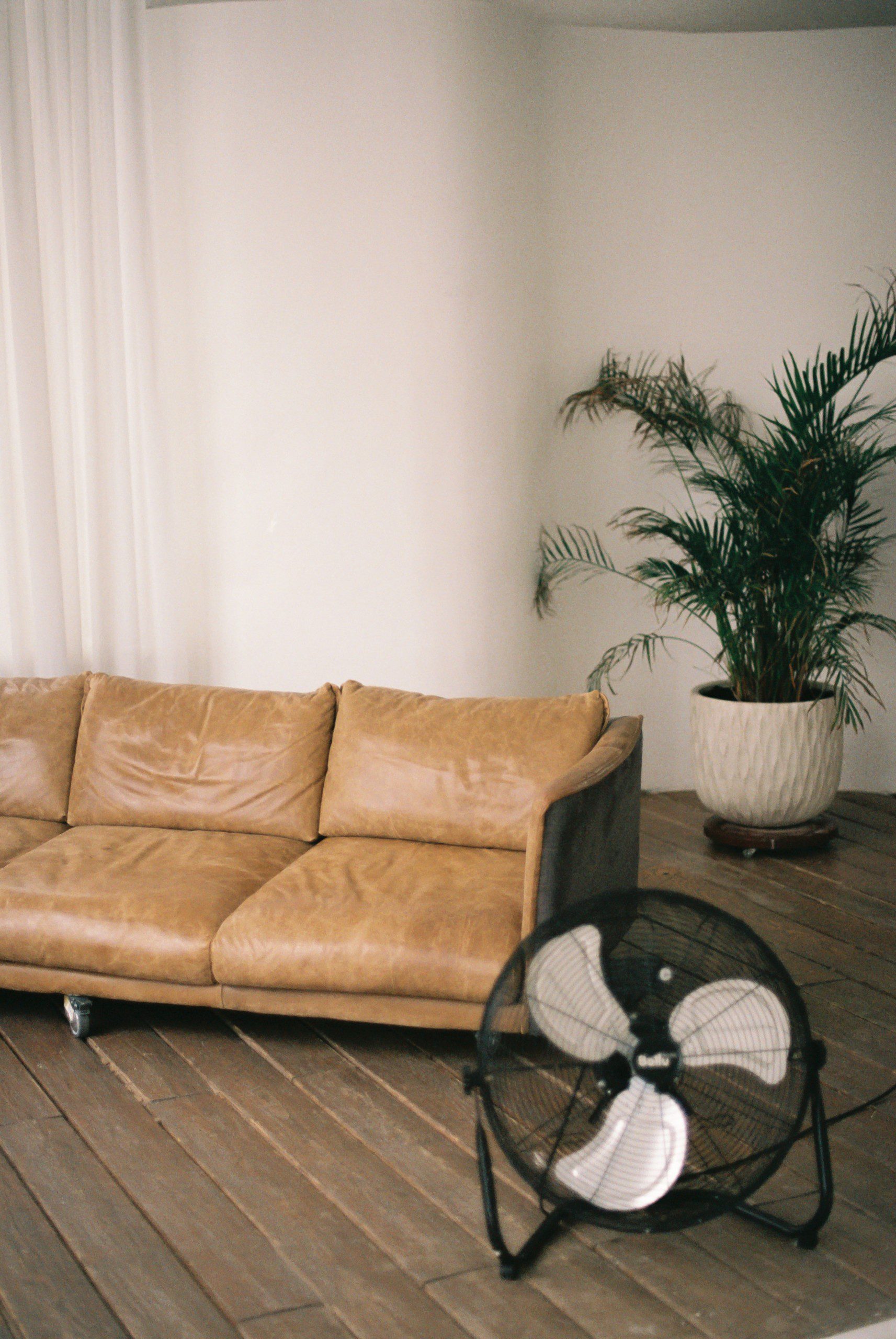 Sala de estar com sofá de couro, ventilador e vaso de plantas. 