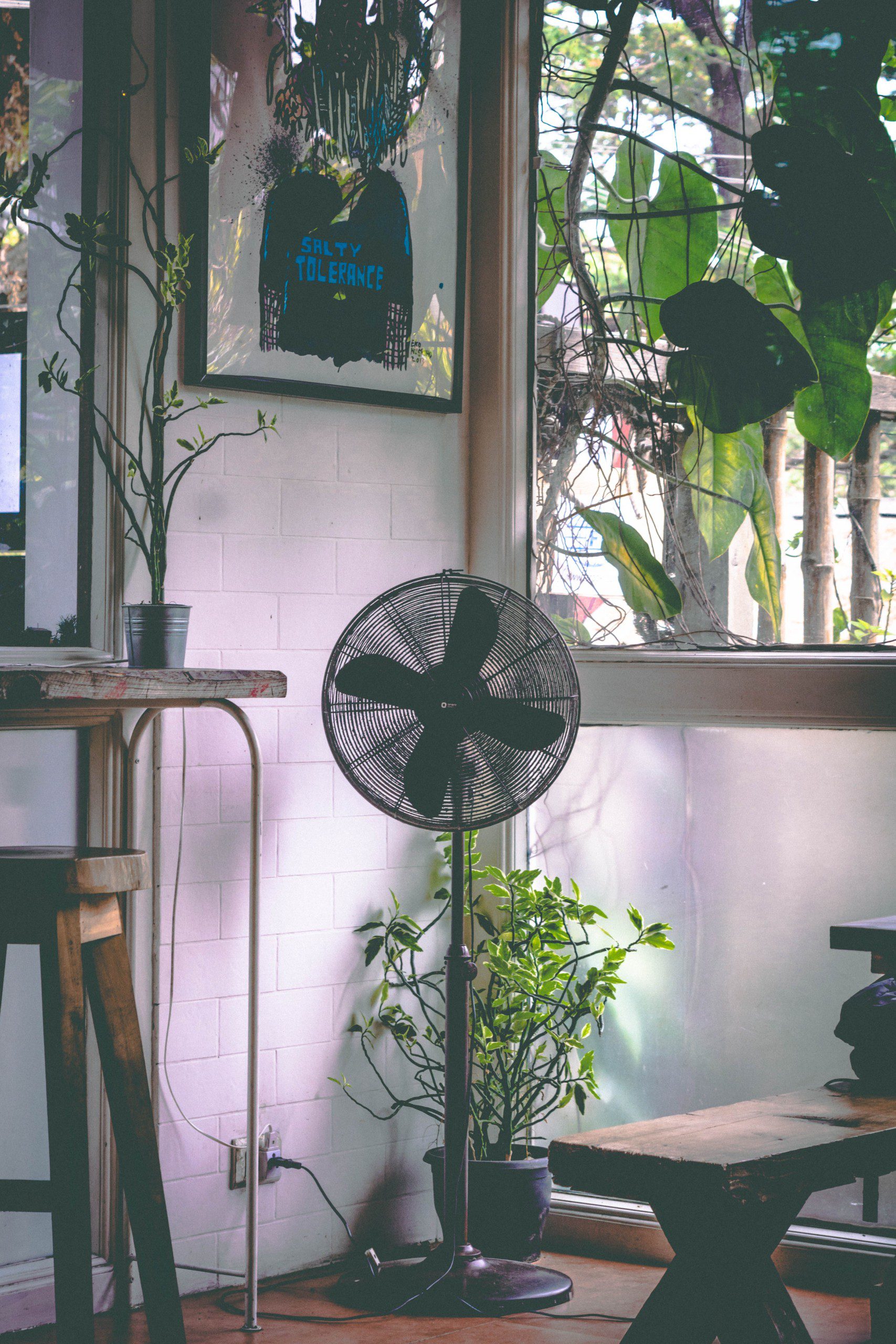 Ventilador de coluna preto em uma sala de estar com plantas. 