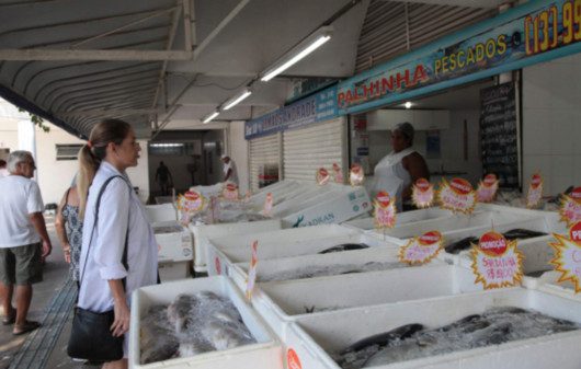 Mulher fazendo compras no mercado do Peixe em Santos