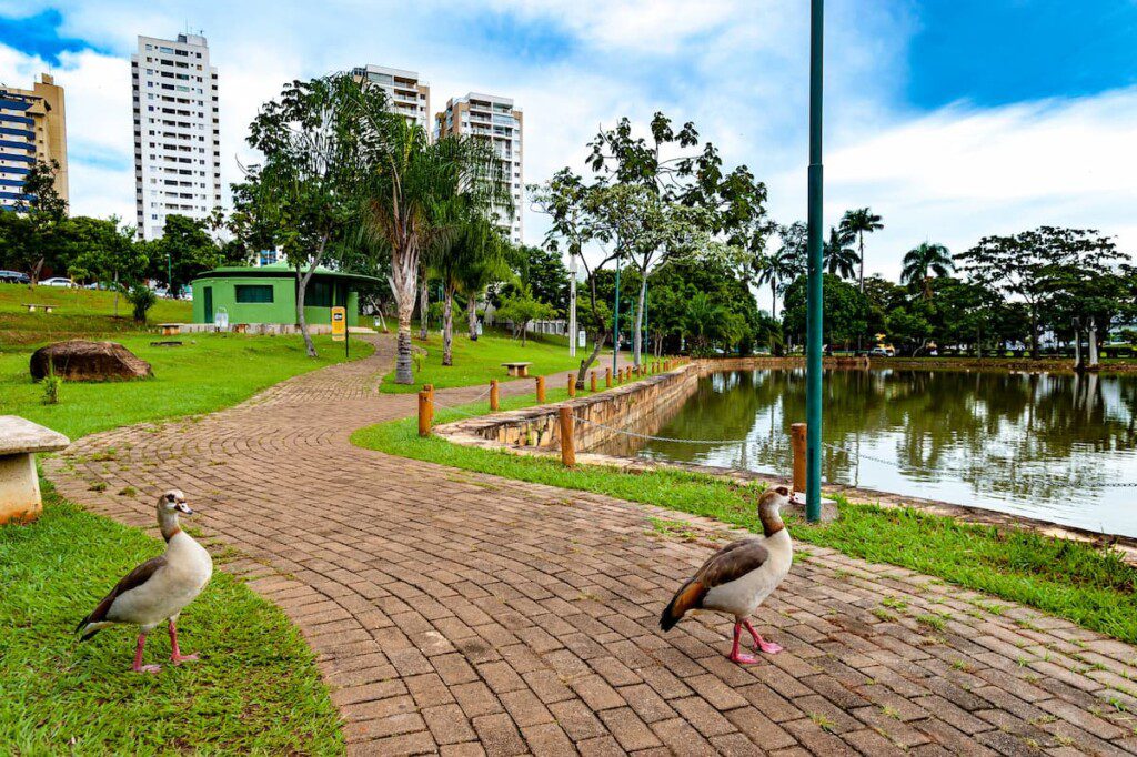 Parque Lago das Rosas.