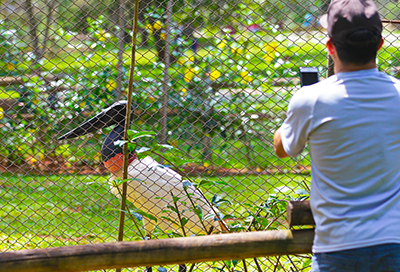 Imagem de um homem tirando foto com o celular de uma ave no zoológico. Foto retirada do site oficial do Complexo Parque do Sabiá