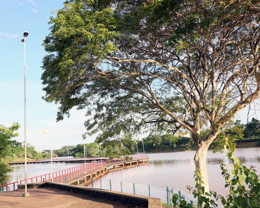 Foto que ilustra matéria sobre o Parque da Represa Municipal em São José do Rio Preto mostra um deck de madeira entrando pelas águas de um lago