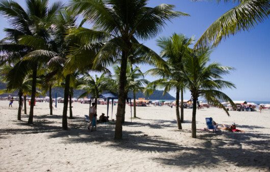 Foto que ilustra matéria sobre praias da Praia Grande mostra alguns coqueiros e um pedaço da faixa de areia da Praia do Forte
