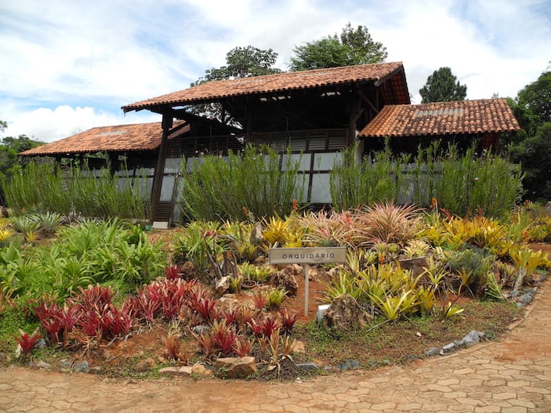 Orquidário do Jardim Botânico de Brasília. Ao centro da imagem existe um canteiro com orquídeas e uma construção ao fundo.