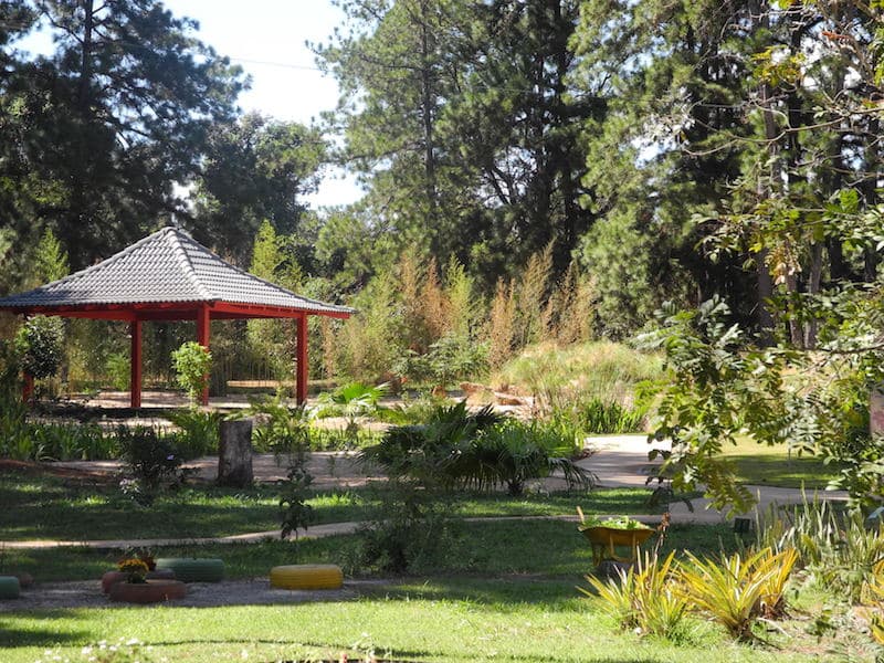Jardim Japonês, do Jardim botânico de Brasília. É possível ver árvores grandes e uma construção estilo japonês.
