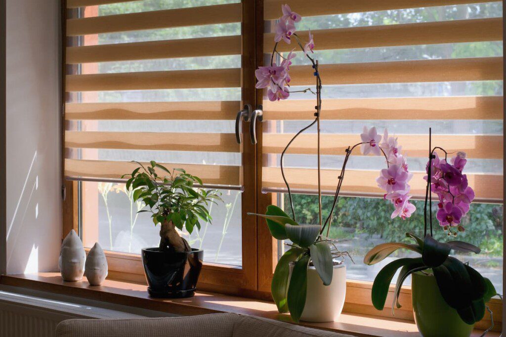 Janela com jarros de planta e coberta parcialmente por uma  persiana double vision.
