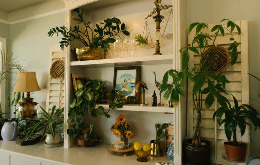 Prateleiras de uma sala de estar com mix de plantas, quadros e itens decorativos.