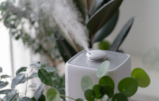 Imagem de um umidificador de ar branco cercado por plantas liberando vapor de água no ambiente