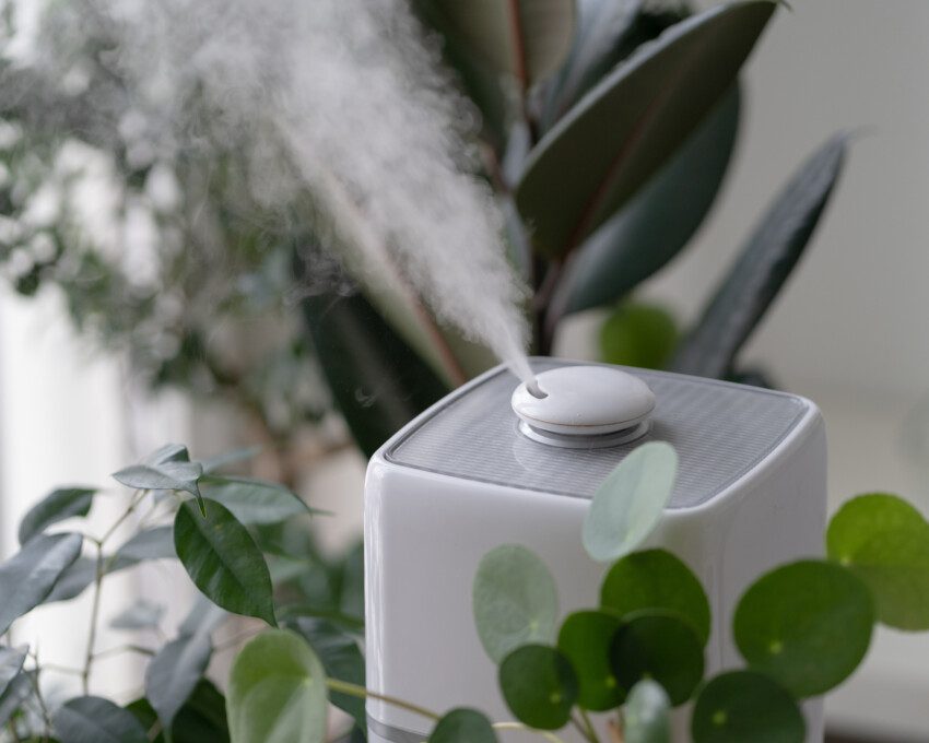 Imagem de um umidificador de ar branco cercado por plantas liberando vapor de água no ambiente