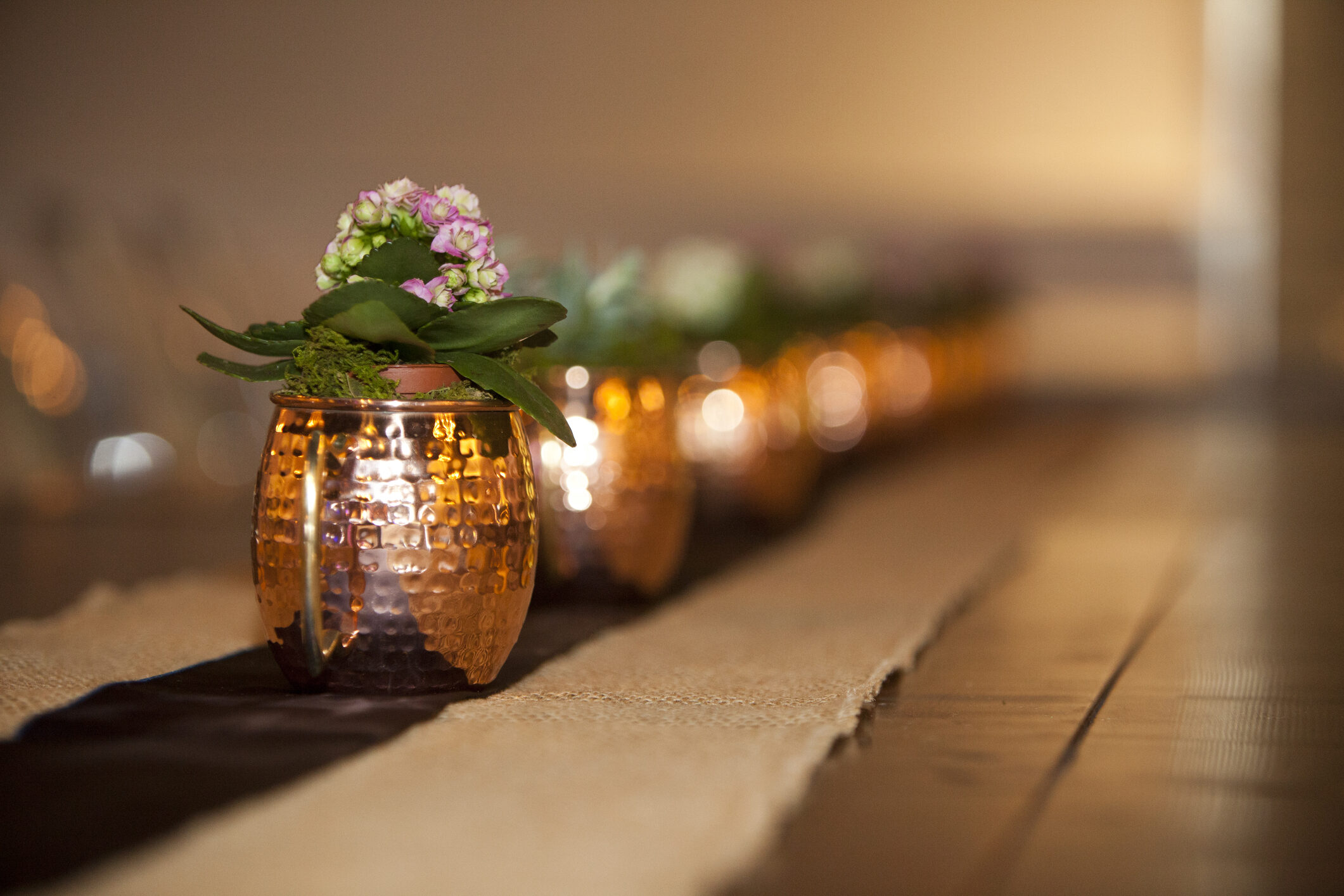 Os vasos de cobre são ótimos para compor diferentes estilos de ambiente