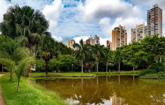 Foto que ilustra matéria sobre o Parque Vaca Brava mostra um pequeno lago cercado de árvores e com altos prédios ao fundo. (Foto: Leandro Moura | MTur)