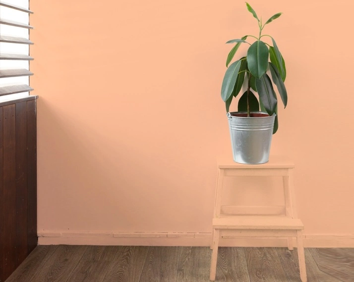 Foto que ilustra matéria sobre a cor do ano 2024 mostra uma mesinha com um vaso de plantas em cima diante de uma parede. A mesinha e a parede têm a cor Peach Fuzz, escolhida como "cor do ano" pela Pantone (Foto: Shutterstock)