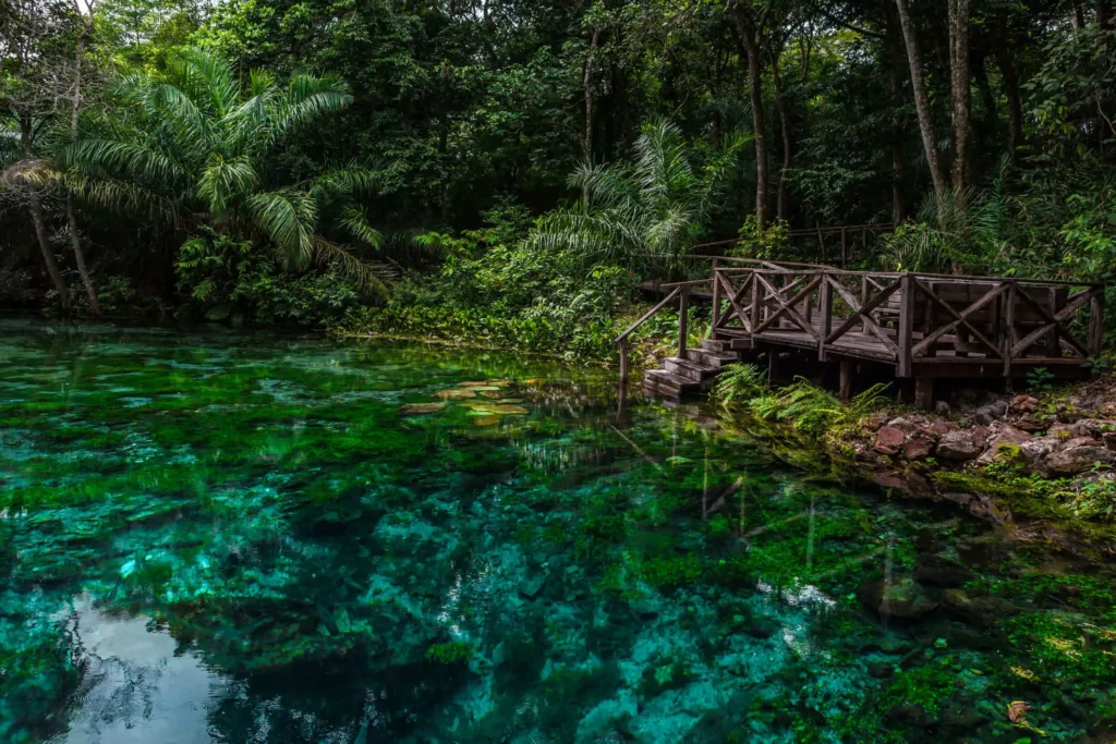 Imagem de uma nascente de água azul cercada de vegetação em Bonito, no Mato Grosso do Sul, para ilustrar matéria sobre a cidade mais visitada do Brasil