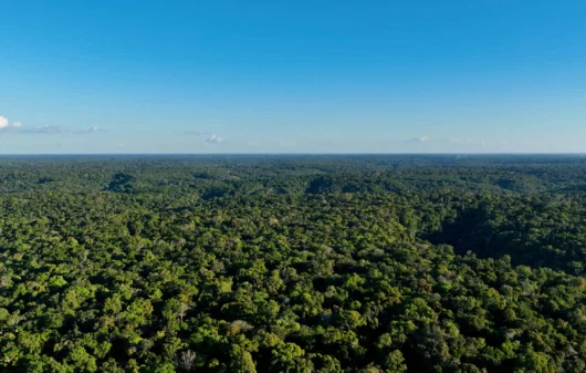 Imagem aérea da natureza da floresta amazônica em um dia de céu azul para ilustrar matéria sobre a cidade mais úmida do Brasil