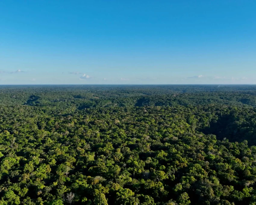 Imagem aérea da natureza da floresta amazônica em um dia de céu azul para ilustrar matéria sobre a cidade mais úmida do Brasil