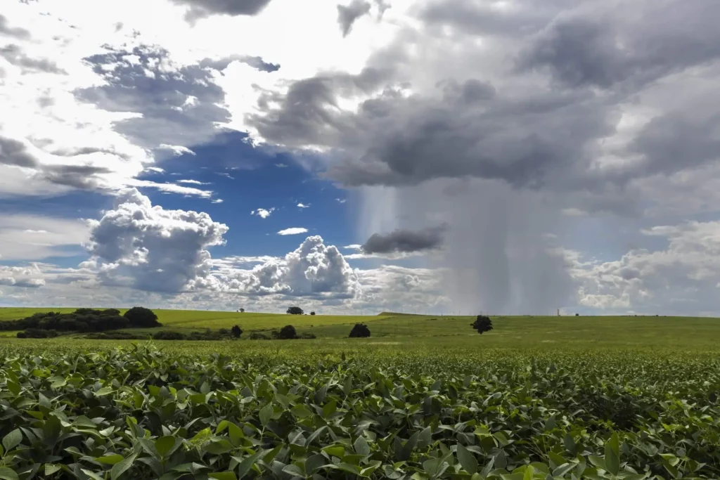 Imagem panorâmica do céu com nuvens pesadas e a chuva chegando a uma plantação na zona rural do Brasil para ilustrar matéria sobre qual é a cidade mais úmida do Brasil
