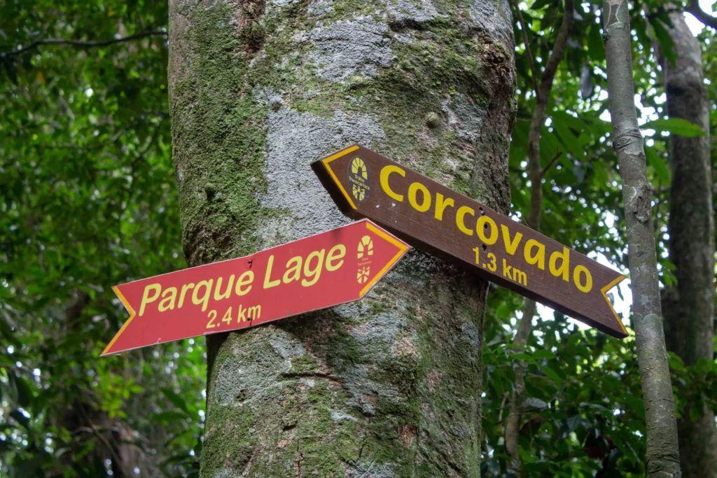 Imagem de uma árvore com duas placas indicando a localização do Parque Lage e do Corcovado para ilustrar matéria sobre atividades de lazer na Zona Sul do Rio de Janeiro